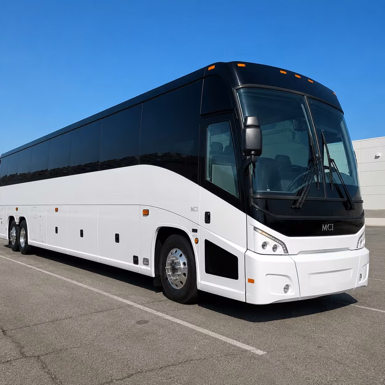 on your way to a festival albuquerque bus rentals cover that too